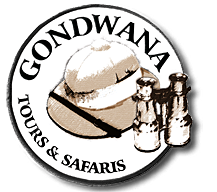 Gondwana Tours & Safaris logo