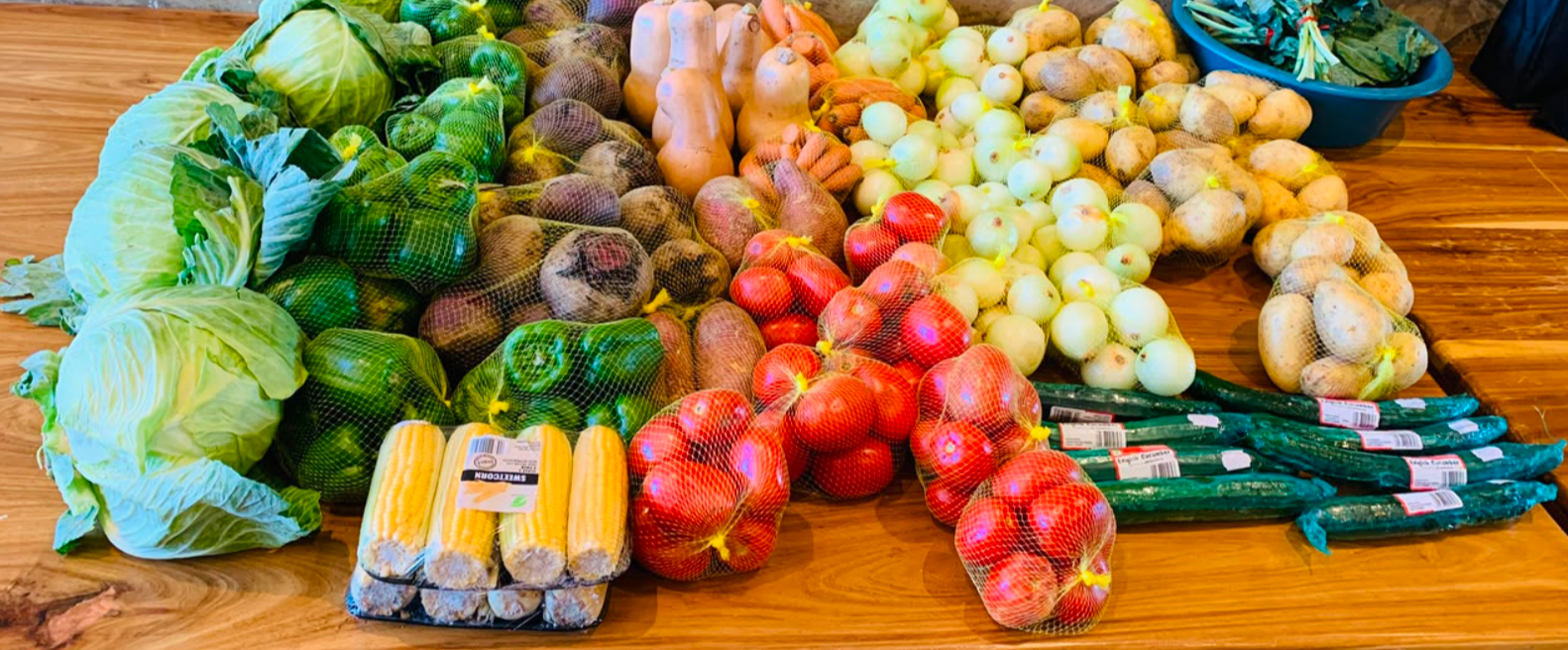 Fresh vegetables being harvested