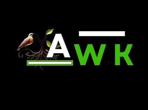 Yawk Autoworks Logo